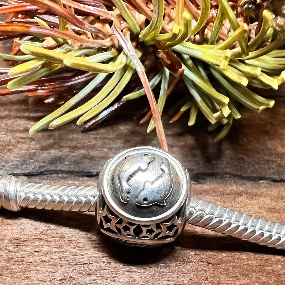Authentic Pandora Charm Pisces Sign Bead
Silver Zodiac Fish Stars Sky Sign